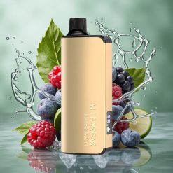 Braambes IJs Alibarbar Ingot 9000 Puffs 2350mah Batterijcapaciteit 22ml Vloeistofcapaciteit Nederland groothandel