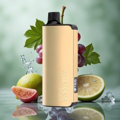 Druiven IJs Alibarbar Ingot 9000 Puffs 22ml Vloeistof 2350mah Batterij Nederland groothandel