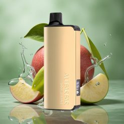 Dubbele Appel Alibarbar Ingot 9000 Puffs 22ml Vloeistofcapaciteit 2350mah Batterijcapaciteit Nederland groothandel