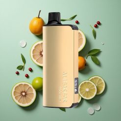 Koel Munt Alibarbar Ingot 9000 Puffs 22ml Vloeistofcapaciteit 2350mah Batterijcapaciteit Nederland groothandel