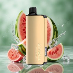 Watermeloen Ijs Alibarbar Ingot 9000 Puffs 22ml Vloeistof 2350mAh Batterij Nederland groothandel